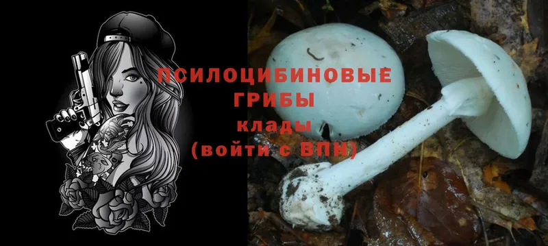 Псилоцибиновые грибы MAGIC MUSHROOMS  Александровск-Сахалинский 